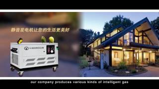Jiangxi Vigourous New Energy Technology永骏泰新能源科技有限公司