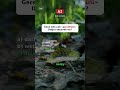 Otelde oda sorunları için İngilizce quiz #shorts