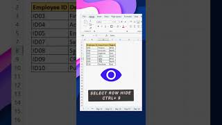 # HIDE AND UNHIDE DATA IN EXCEL