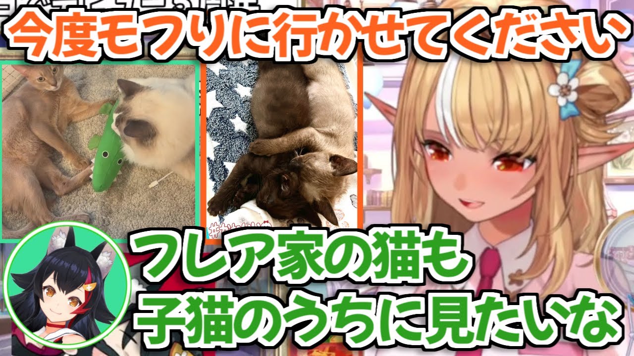 【ホロライブ切り抜き】珍しく凸に来たミオしゃとお互いの猫をモフりに行く約束をしたフレアちゃん【不知火フレア 大神ミオ】