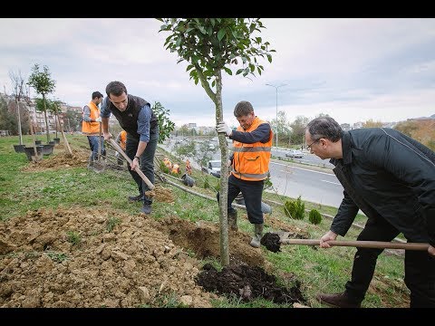 Video: Si Të Buxhetoni Një Organizatë