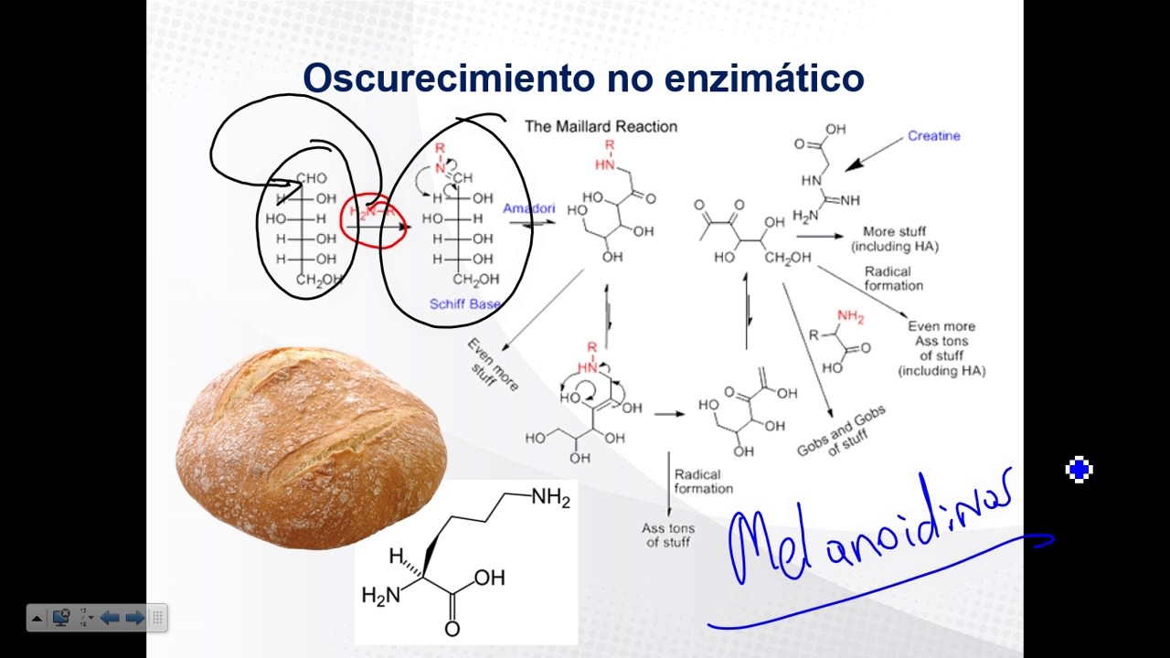 QAI_Capítulo 2.4 Carbohidratos ( Reacciones químicas) - YouTube