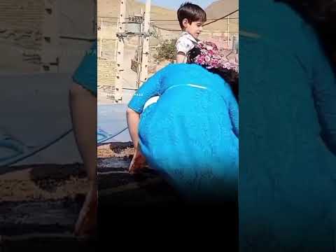 محلی شیرازی سجادفرهادی
