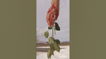 Rose Fire 🔥 No feel My Pain #video #viral #reels #viralreels #love