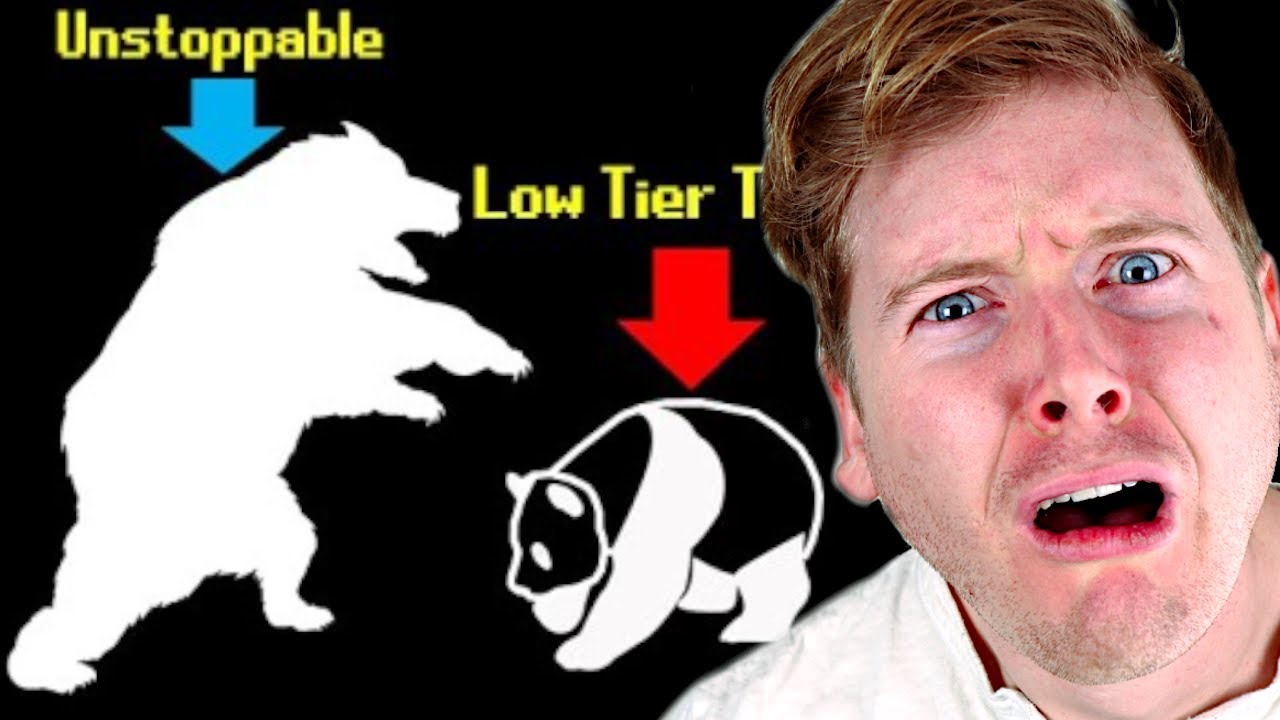 TierZoo's Bear Tier List Reaction