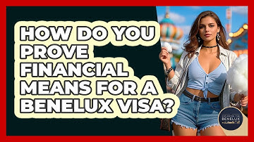 How Do You Prove Financial Means For A Benelux Visa? - Exploring The Benelux