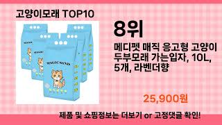 고양이모래 추천 Top10