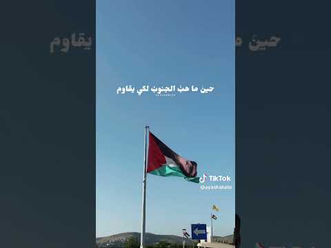 عاب مجدك جوليا بطرس