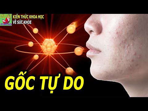 Video: Quá Già để điều Trị? Vật Nuôi Lão Hóa Và Ra Quyết định Y Tế