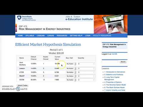 EBF 473 Simulation