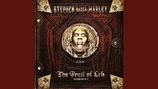 Video thumbnail of "Stephen Marley - Paradise"