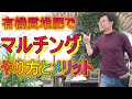 [ガーデニング] マルチングとは？「キャリア28年のプロガーデナーが必ず行う作業。方法とメリットを解説」