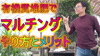 [ガーデニング] マルチングとは？「キャリア28年のプロガーデナーが必ず行う作業。方法とメリットを解説」