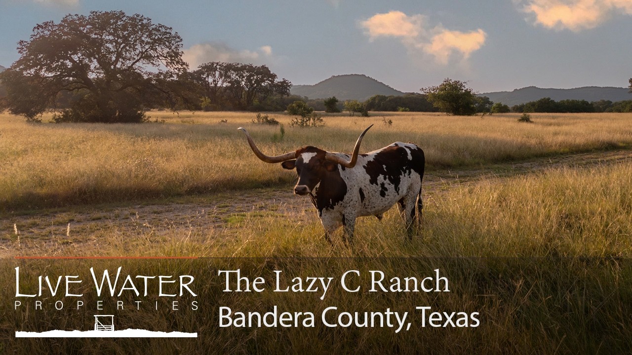 Ранчо Lazy C | Продажа ранчо в Техасе