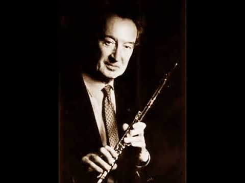 Hoffmeister   Flute Concerto No  17 in D major ~Maxence Larrieu~