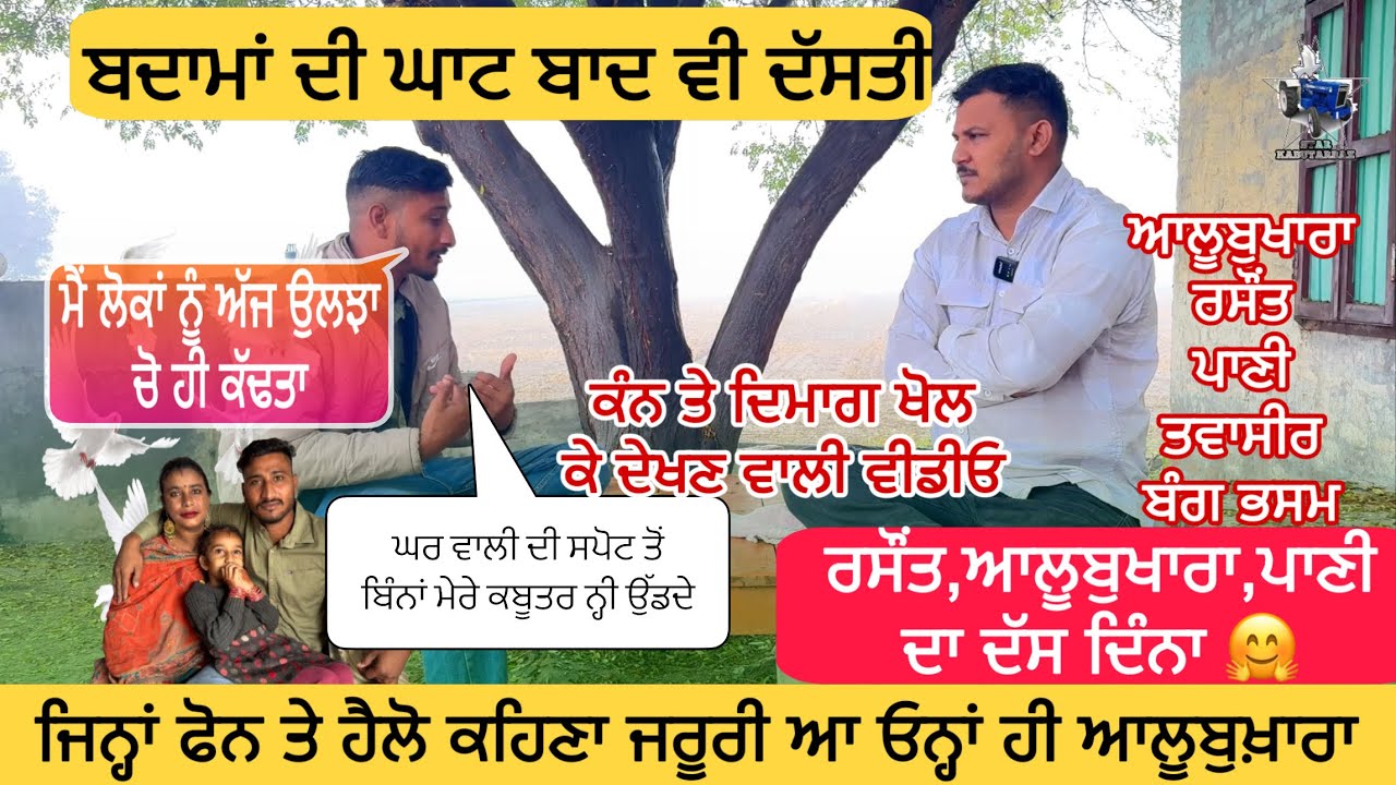 ਅੱਜ ਮੈਂ ਦੱਸਦਾ ਵੀ ਪਾਣੀ ਕਦੋ  ਲੱਗਦਾ ਤੇ ਆਲੂਬੁਖਾਰਾ ਕਦੋ ਲੱਗਦਾ #barsimander #starkabutarbaaz #ਕਬੂਤਰਬਾਜ਼ੀ