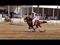 Sargodha horse show nazabazi with mubashar tiwana beautifulhorses horse pakistan punjabnazabazi