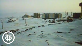 Обыкновенная Арктика (1991)