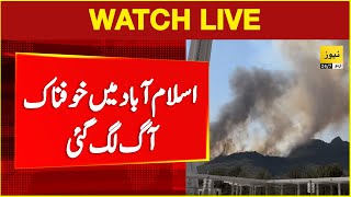 Huge fire in Islamabad Margalla hills near Faisal Masjid | Live news | Breaking news