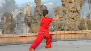 2o Duan Wushu Chang Quan Er Duan Form 2