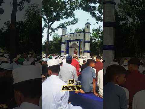 ঈদ মোবারক ১৪২৭ হিজরি। ২০২৬ খ্রীস্টাব্দ। #eidmubarak #eidspecial #eiduladha
