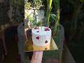 Heart cake design❤️|#cakedecoration#cakedesign#heartcake#shorts#trending