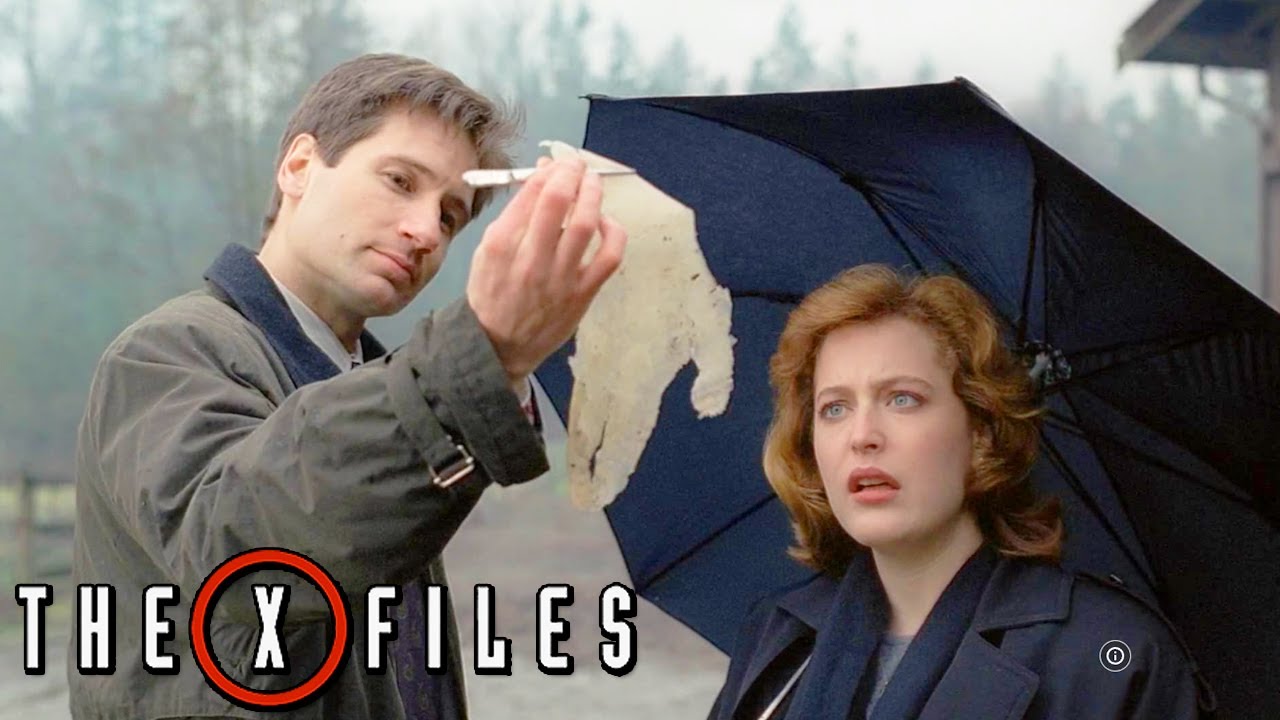 Shapes - The X-Files (1993) – Season 1 Episode 19 Secrets, Trivia & Episode Insights