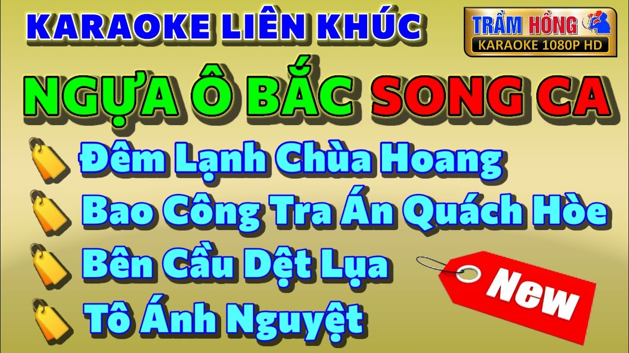 Karaoke Liên Khúc Ngựa Ô Bắc (Song Ca)| Đêm Lạnh Chùa Hoang, Bên Cầu Dệt Lụa, Tô Ánh Nguyệt, Bao...