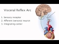 Chapter 15 Visceral Reflexes
