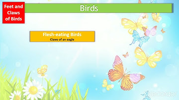 Class -3 || Part -2 || Subject-Science|| Chapter -3 Birds