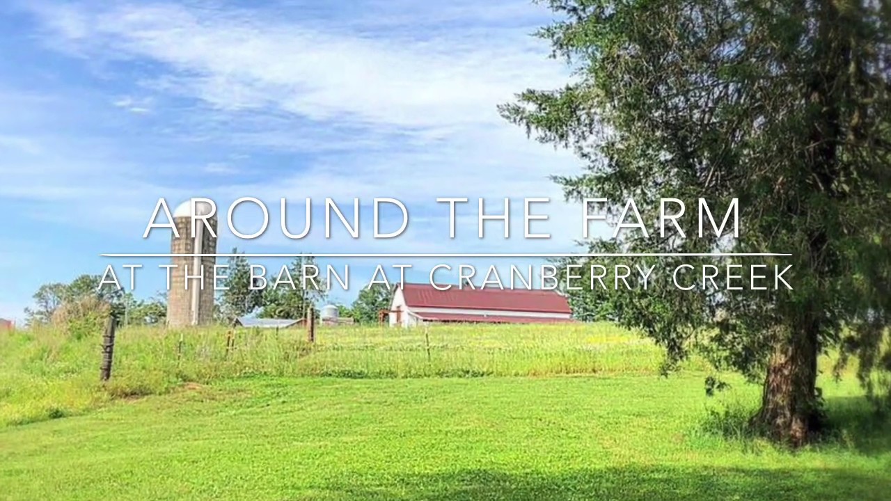 Around the Farm at The Barn at Cranberry Creek YouTube