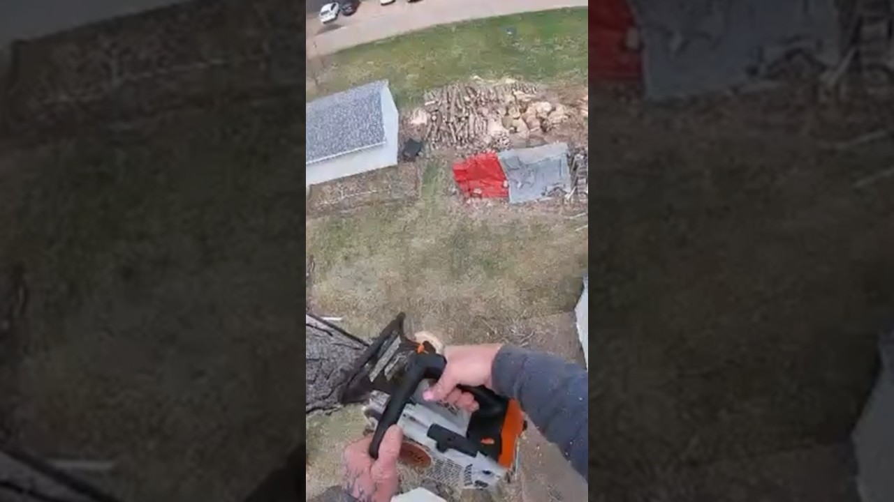 Roping limb with swing - YouTube
