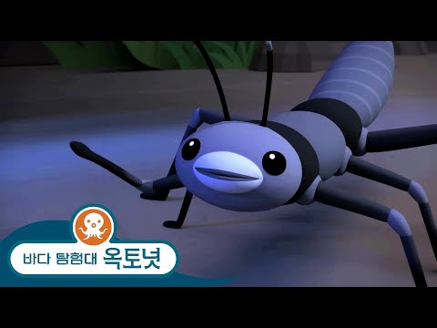 바다 탐험대 옥토넛 - 신비의 <strong>대벌레</strong> - 모음집