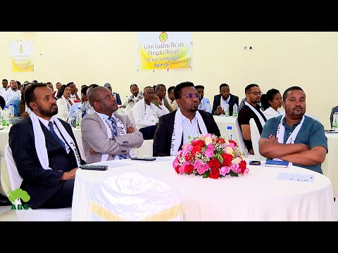 Waajjirri Galiiwwanii Godina Shawaa Bahaa Waltajjii Sosochii Sassaabbii Galii Gaggeesse