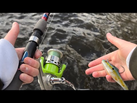 Fishing for big BASS on the Black River!#fishing