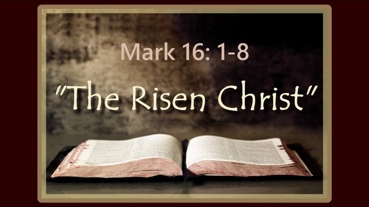 Video Services at LBC