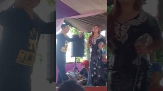 Download Lagu Dua kursi organ tunggal MP3