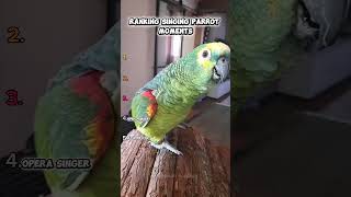 Ranking Parrot Moments #shorts #shortvideos #parrot #viral