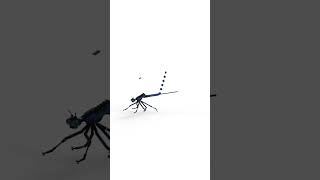 Beautiful Damselfly Dragonfly MOC