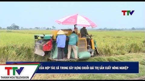 Vai trò của Hợp tác xã trong xây dựng chuỗi giá trị sản xuất nông nghiệp