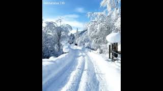 Whom would you like to take a walk with here? ⛄