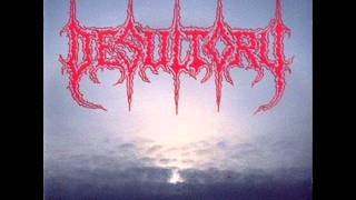 Desultory  The Chill Withn