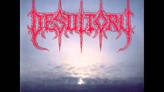 Desultory - The chill withn