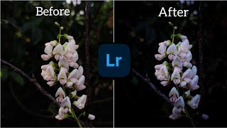 How to edit white flowers photo in Lightroom | Mobile Photography | Nature Photography screenshot 5