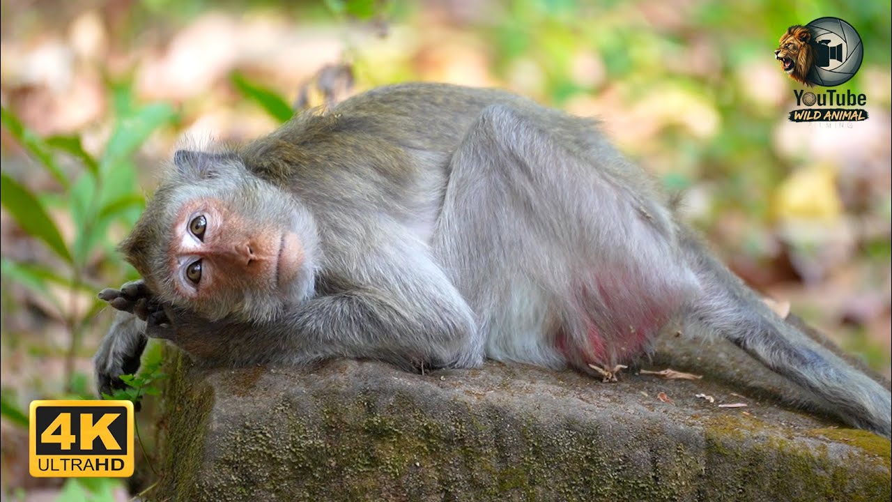 JADE Waiting Her Youngest Daughter JAVOR Back