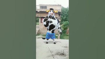 Thumbnail of cow funny 🤣 dance # viral 🤩 video # trinding 😂 short 🙏