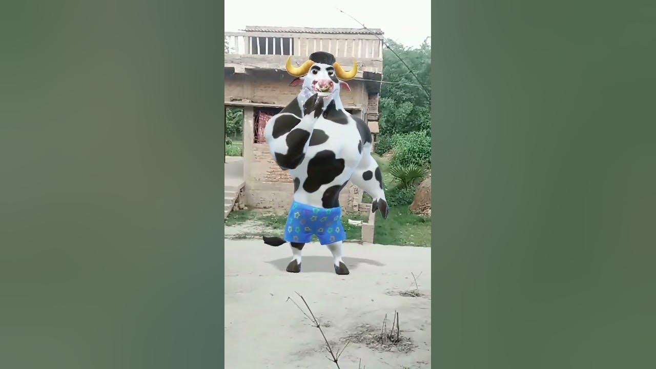 cow funny 🤣 dance # viral 🤩 video # trinding 😂 short 🙏