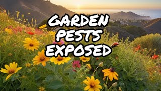 Common Bugs in Malibu Hills Gardens: Friend's Discovery by 50statesUSA 6 views 1 month ago 1 minute, 21 seconds