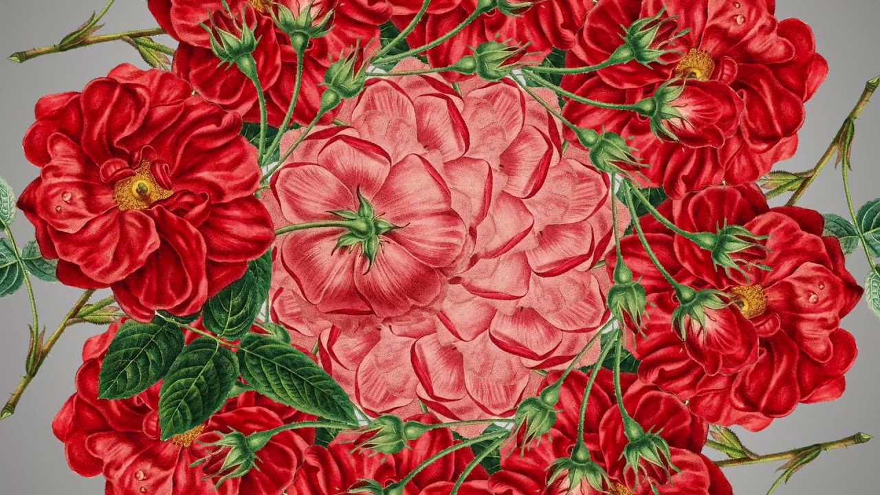 Watch Hannah Acfield - Like Lovers Do on YouTube Watch Hannah Acfield - Like Lovers Do on YouTube