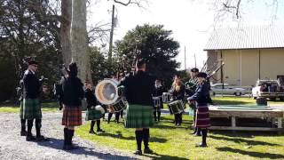 Tidewater Pipes & Drums